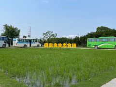 -迪茵湖田家舍生态农场