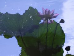 -烈士陵园(地铁站)