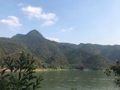 -羚羊峡古栈道森林公园
