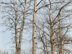 -元大都城垣遗址公园