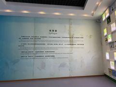 -盐城丹顶鹤湿地生态旅游区