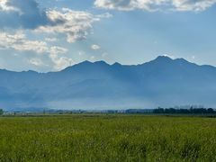 -野鸭湖国家湿地公园