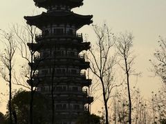 -洋湖国家湿地公园