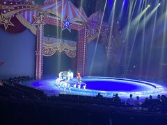 -珠海横琴长隆《卡卡虎奇遇记》