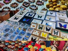 -中环花鸟鱼虫市场