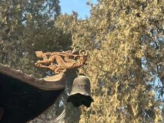 -兴教寺