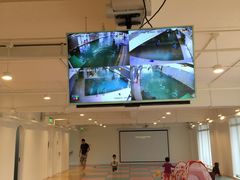 -BlueBubble蓝泡泡婴幼儿游泳会所(合川路店)