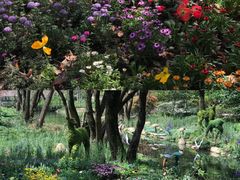 -上海共青森林公园