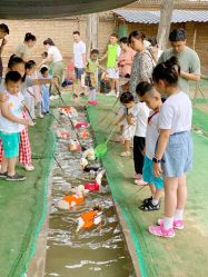 -上美四季动物农场