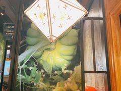 -云海肴·汽锅鸡·云南代表菜(天山百盛优客店)