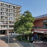 大学城美食笔记／堕落街？!