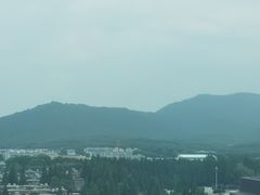 -南京维景国际大酒店(南京博物院店)