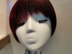 -京北大世界