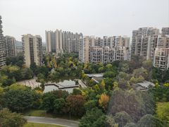 -成都保利公园皇冠假日酒店(熊猫基地店)