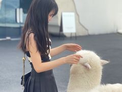 -Blue Concept Cafe&Farm·關於藍