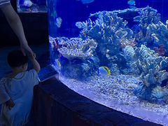 -左海海底世界