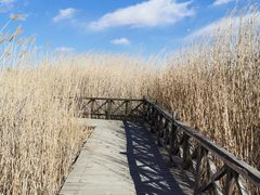 -野鸭湖国家湿地公园