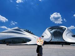 -哈尔滨大剧院