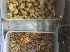 -火咂咂竹筒宴(告庄店)