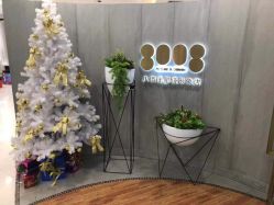 点击看大图 -八佰伴8008星级形象店