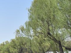 -北陵公园