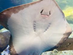 -合肥海洋世界