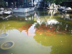 -口岸雕花楼
