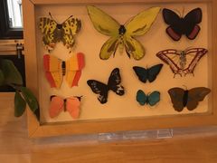 -猫的天空之城概念书店(杭州南宋御街店)