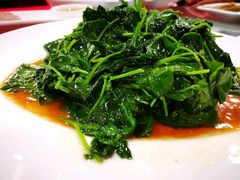 -乔家栅(襄阳南路店)