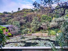 -云溪植物园
