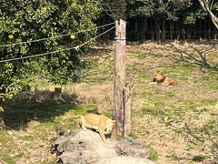 -宁波野生动物园