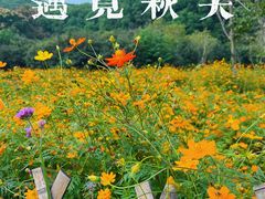 -苏州上方山国家森林公园