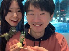 -帝企鹅自助餐厅•儿童岛•真企鹅(长隆企鹅酒店)