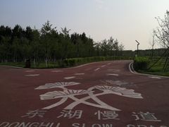 -丁香湖公园