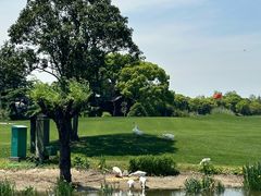 -银涛高尔夫练习场(徐泾店)