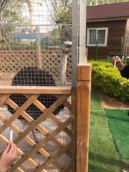 -萌宠亲子动物乐园(槐房万达店)