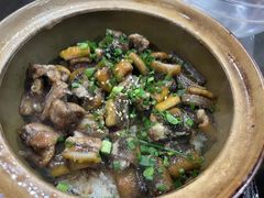 -红星光发煲仔饭(文海店)