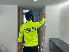 -绿色亿家除甲醛机构