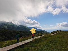 -白草畔自然风景区