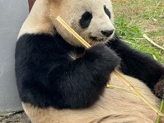 -杭州野生动物世界