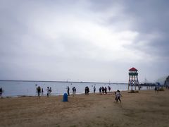 -碧海金沙
