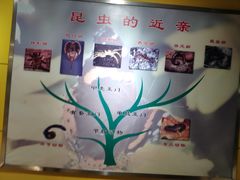 -上海昆虫博物馆