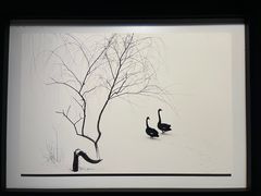 -罗红摄影艺术馆