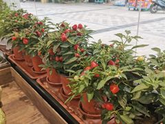 -果蔬好生活超市(双井店)