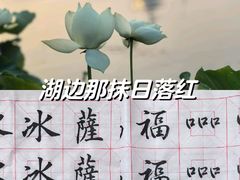 -莲花池公园