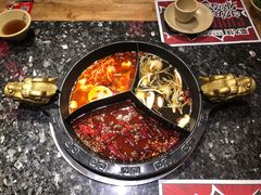 -蜀大侠火锅(森兰花园城店)