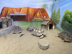 -华夏文旅海洋公园