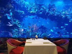 -迪拜帆船酒店海底餐厅