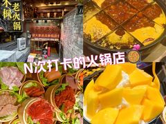 -古木枫老火锅(洪崖洞店)