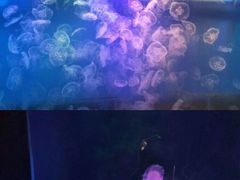 -左海海底世界